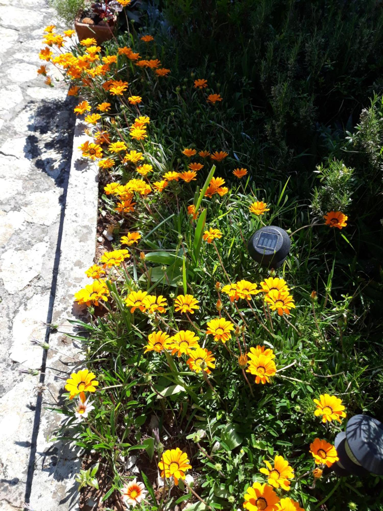 Holiday Home Villa Esperanca Veli Lošinj Exterior foto