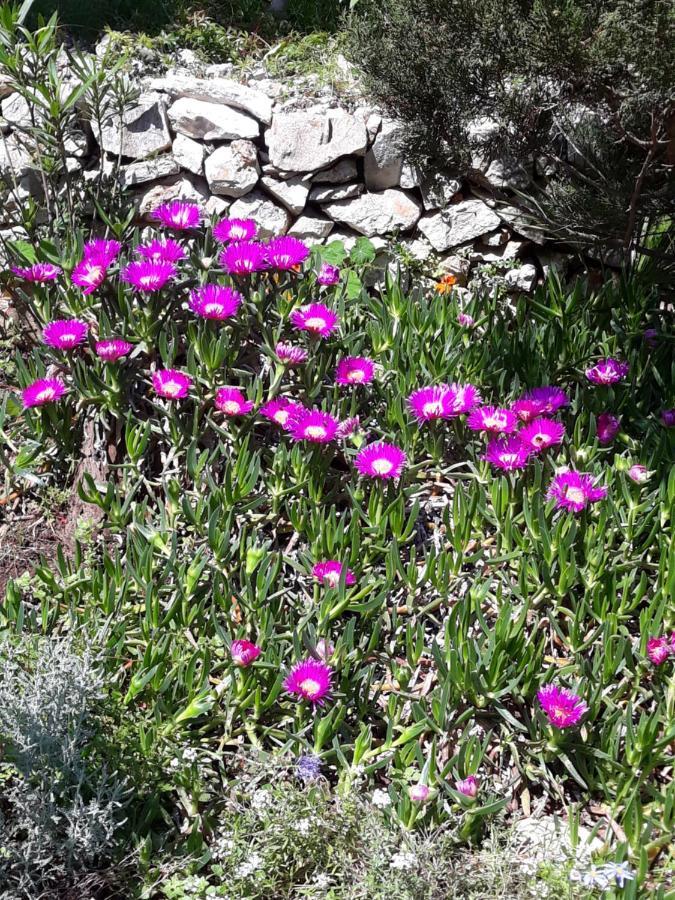 Holiday Home Villa Esperanca Veli Lošinj Exterior foto